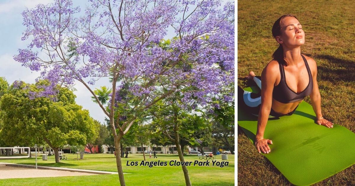 Yoga-Santa-Monica-Clover-Park